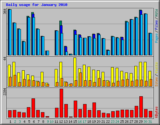 Daily usage for January 2010