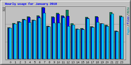 Hourly usage for January 2010